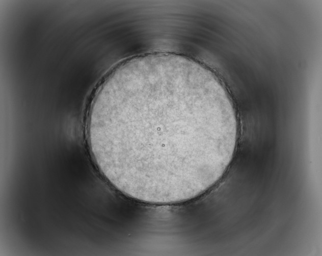 X0000088060828200705251340