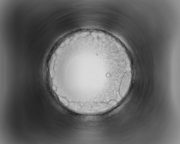X0000088060832200705251341