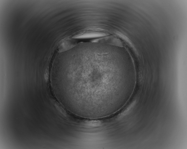 X0000088060833200705251341
