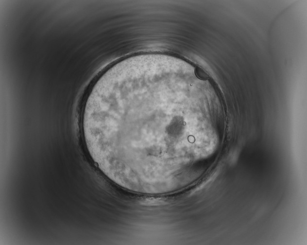X0000088060835200705251341