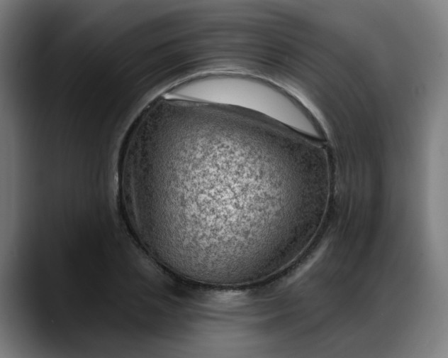 X0000088060837200705251341