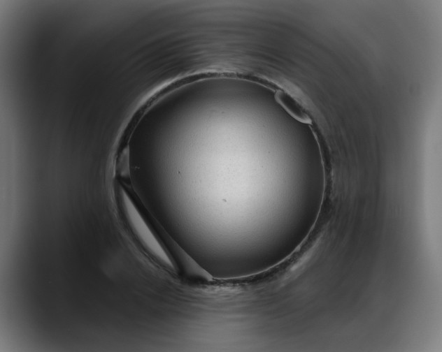 X0000088060838200705251341