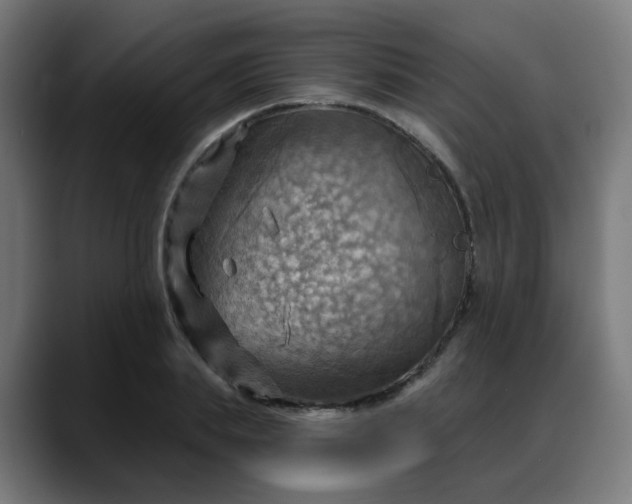 X0000088060839200705251341