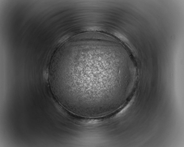X0000088060841200705251341