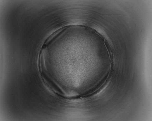 X0000088060842200705251341