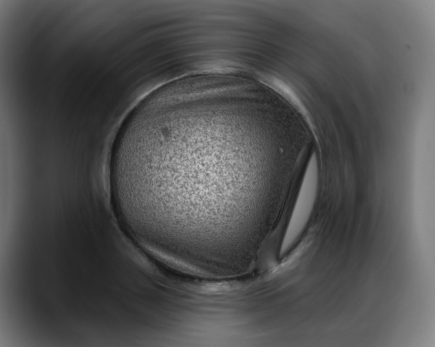 X0000088060843200705251341