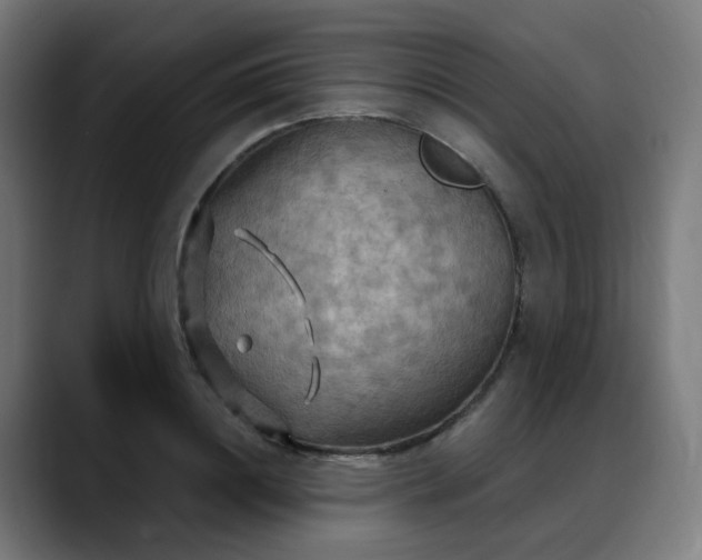 X0000088060844200705251341