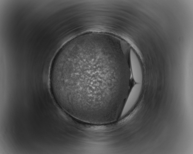 X0000088060845200705251341