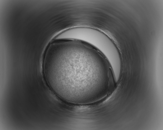 X0000088060846200705251341