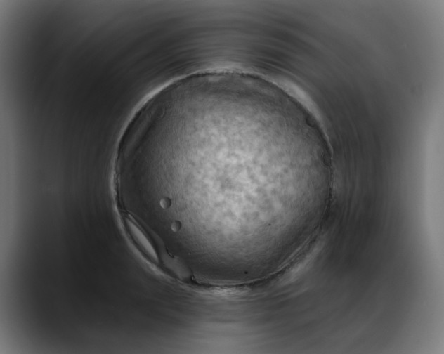 X0000088060847200705251341