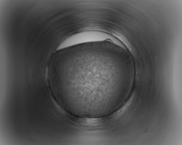 X0000088060849200705251341
