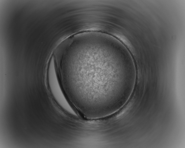 X0000088060850200705251341