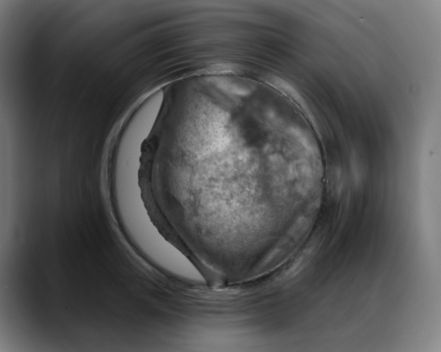 X0000088060851200705251341