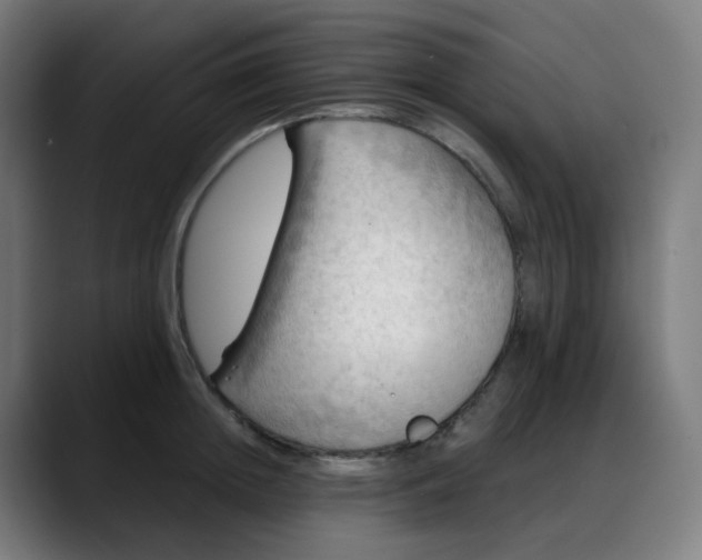 X0000088060852200705251341