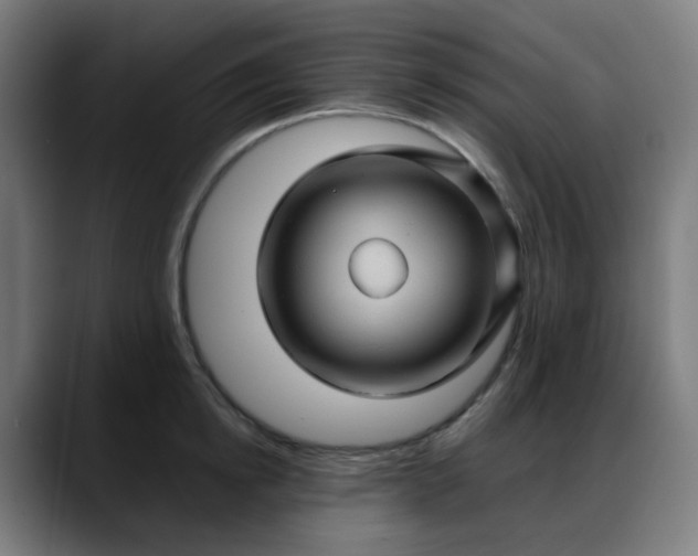 X0000088060854200705251341