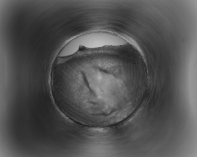 X0000088060855200705251341