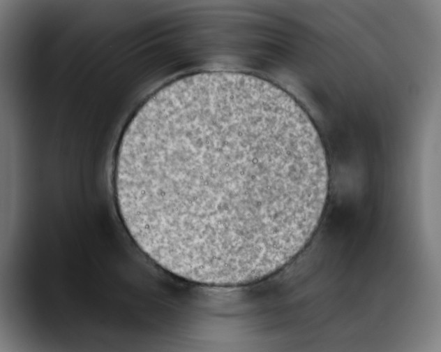 X0000088060856200705251341