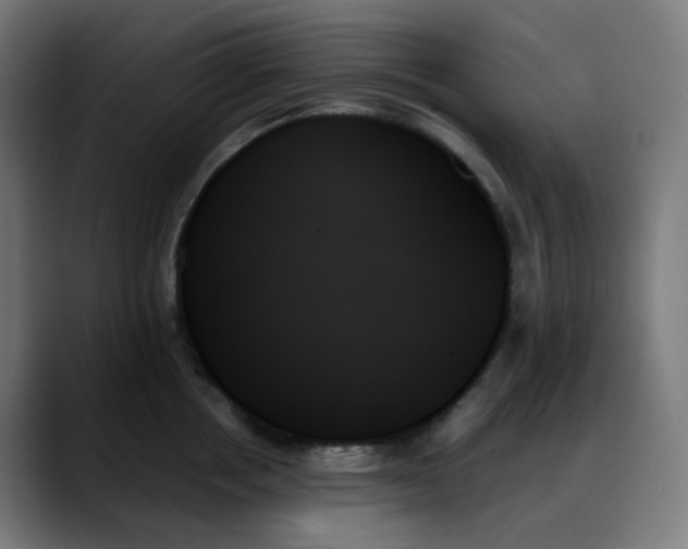 X0000088060858200705251341