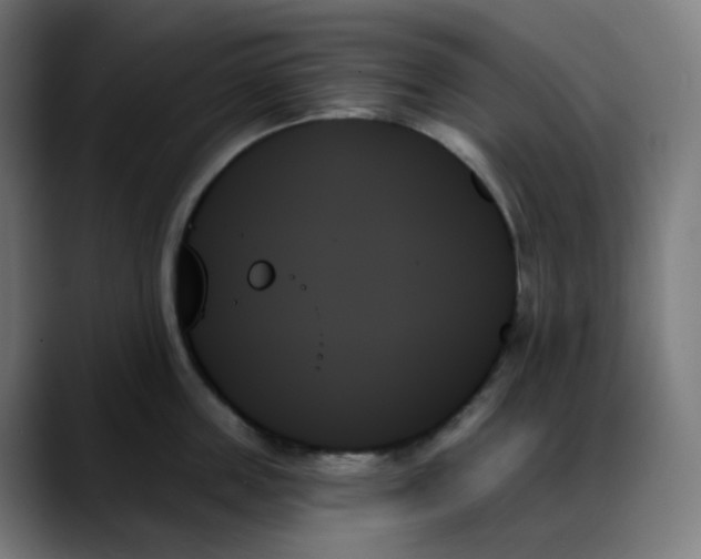 X0000088060859200705251341