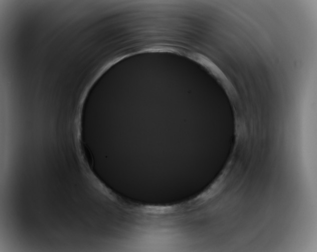 X0000088060860200705251341