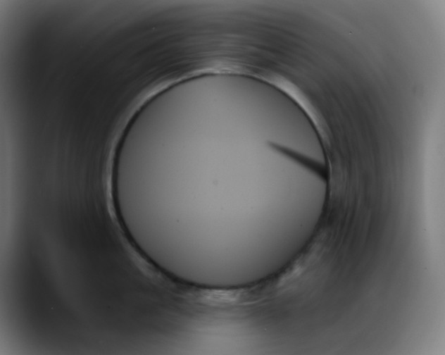 X0000088060861200705251341