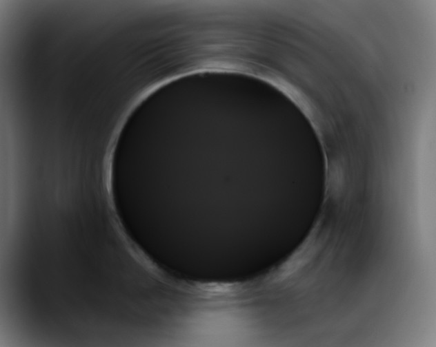 X0000088060862200705251341