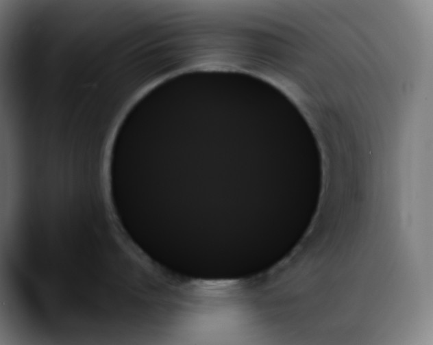 X0000088060864200705251341