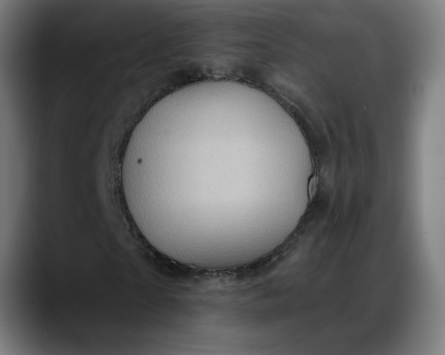 X0000088060865200705251340