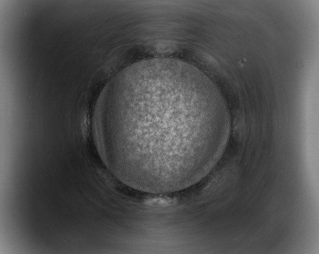 X0000088060866200705251340
