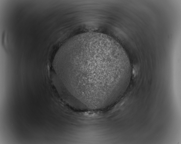 X0000088060867200705251340