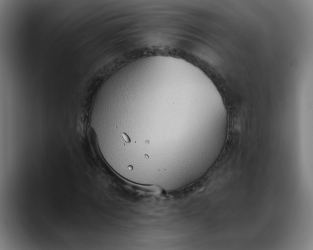 X0000088060869200705251340