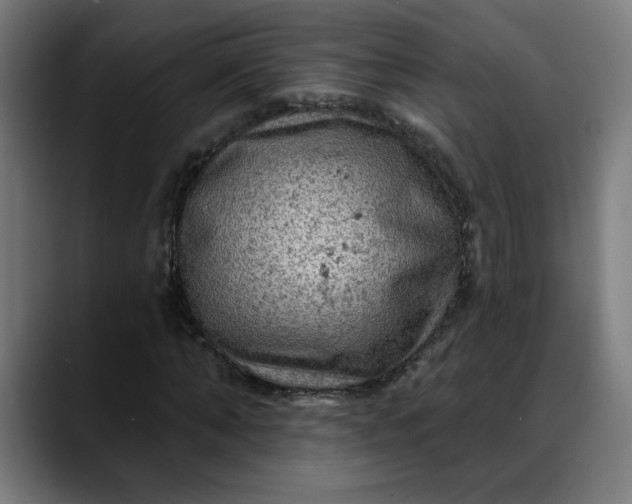 X0000088060870200705251340