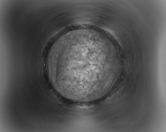 X0000088060871200705251340