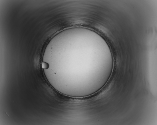 X0000088060873200705251340