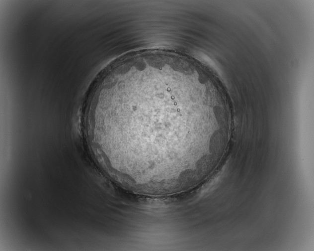 X0000088060875200705251340
