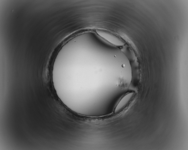 X0000088060876200705251340