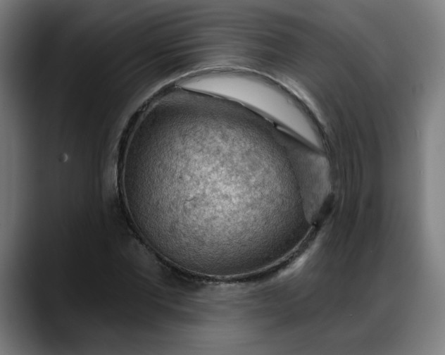 X0000088060877200705251340