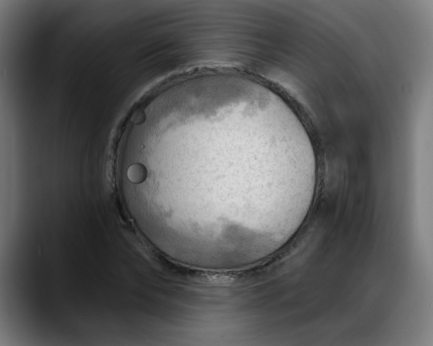 X0000088060878200705251340