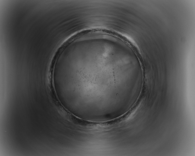 X0000088060879200705251340