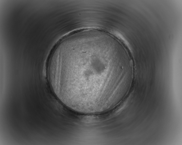 X0000088060883200705251340