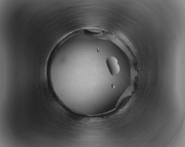 X0000088060884200705251340