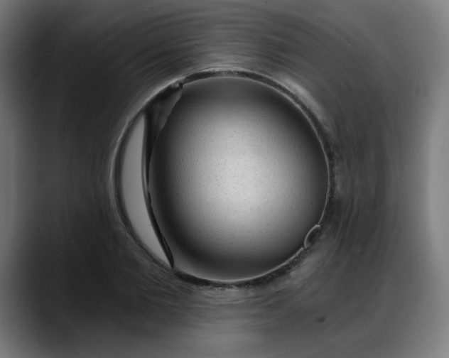 X0000088060885200705251340