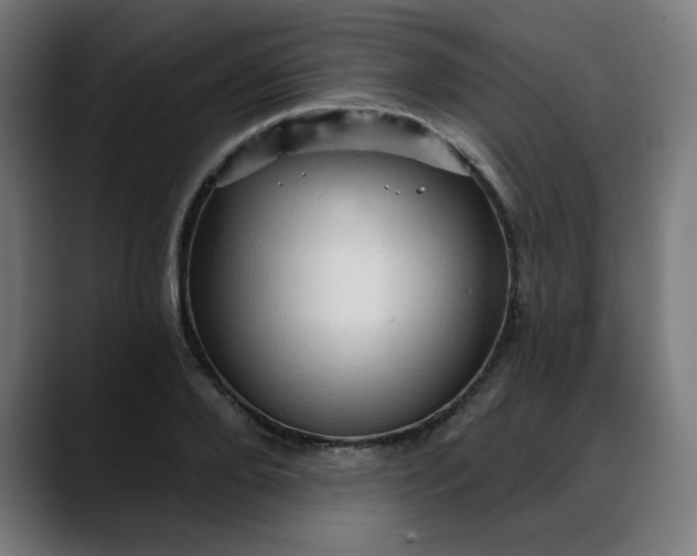 X0000088060888200705251340