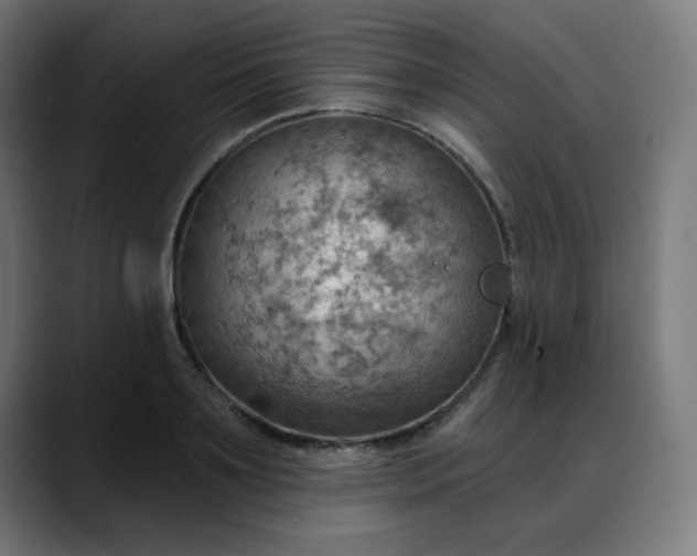 X0000088060891200705251340