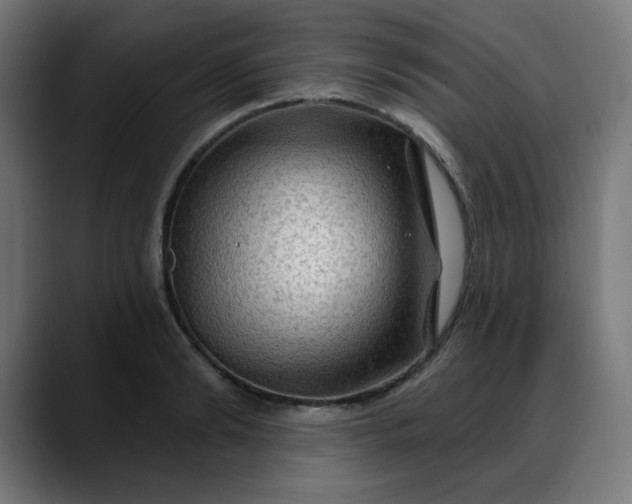 X0000088060894200705251340