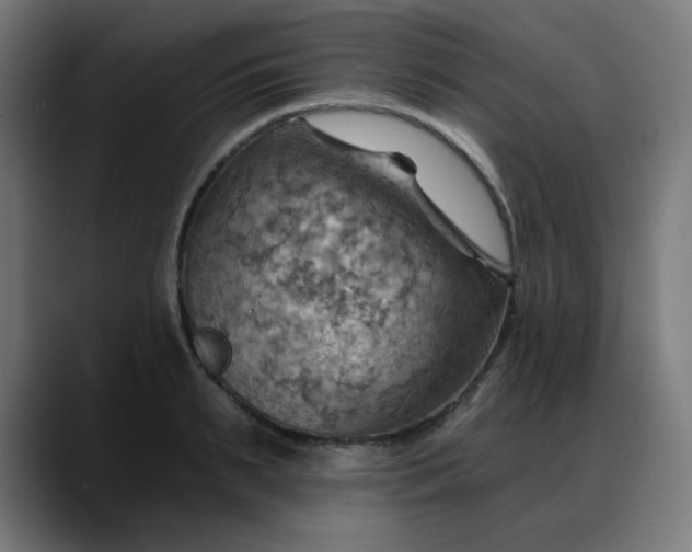 X0000088060895200705251340