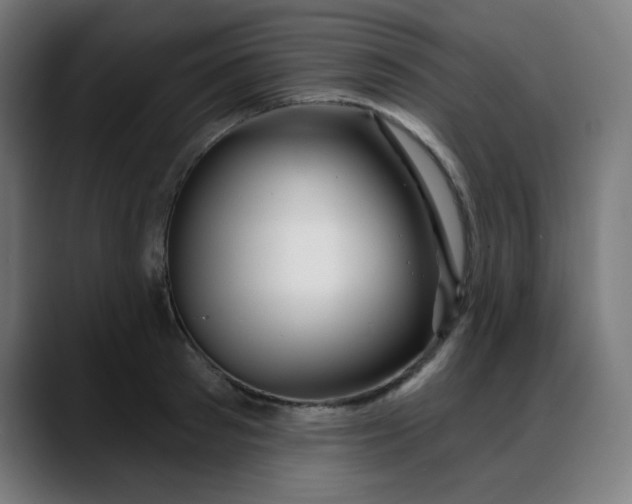 X0000088060897200705251340