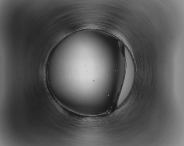 X0000088060898200705251340