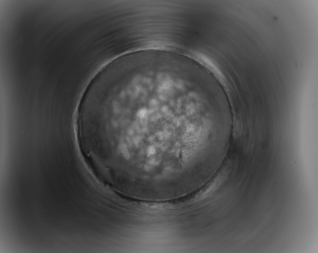 X0000088060899200705251340