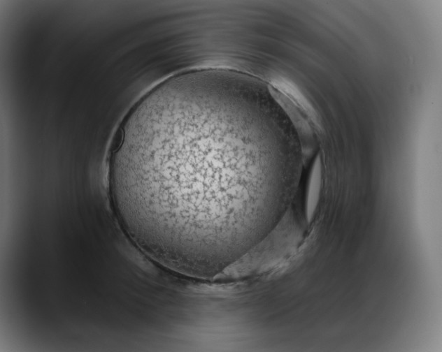 X0000088060900200705251340